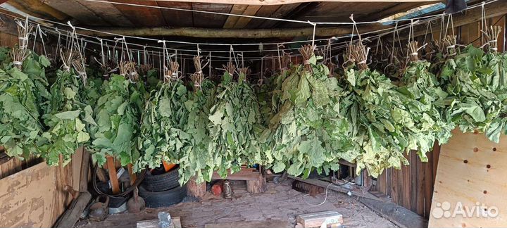 Веники для бани