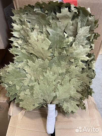 Дубовые веники. Веники и травы для бани