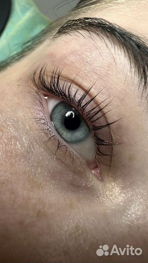 Обучение по ламинированию ресниц