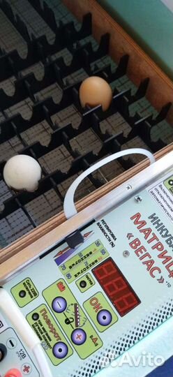 Инкубатор Блиц матрица Вегас, на 90 яиц