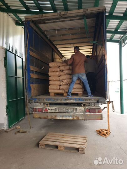 Семена кукурузы краснодарский 291 амв F1