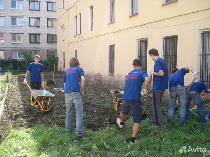 Грузчики на час/Разнорабочие