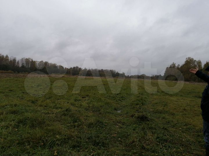 Участок 50 га (СНТ, ДНП)