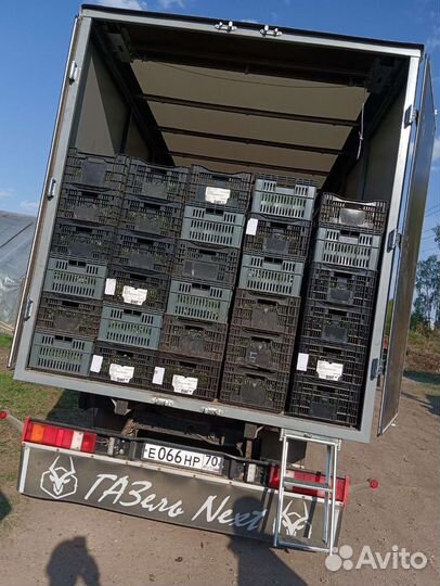 Грузоперевозки Заказать Газель Грузчики Грузотакси