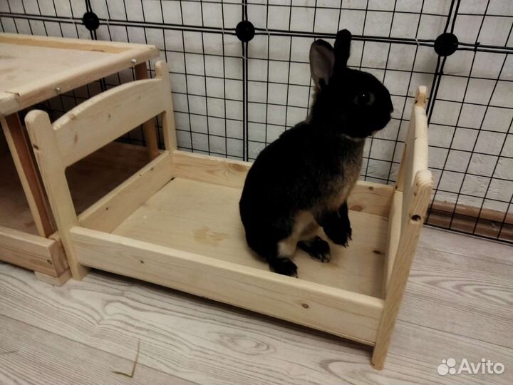 Кормушка, сенник, лежанка для кроликов из массива