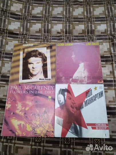 Винил мелодия и демократы