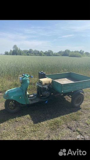 Продам муравей