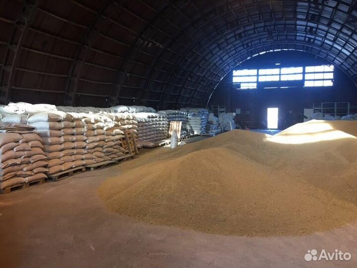 Зерно пшеница и ячмень 1650кг