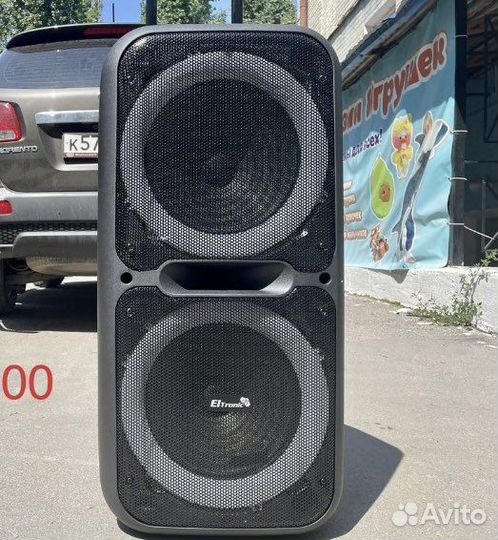 Колонки эльтроник до 800 вт