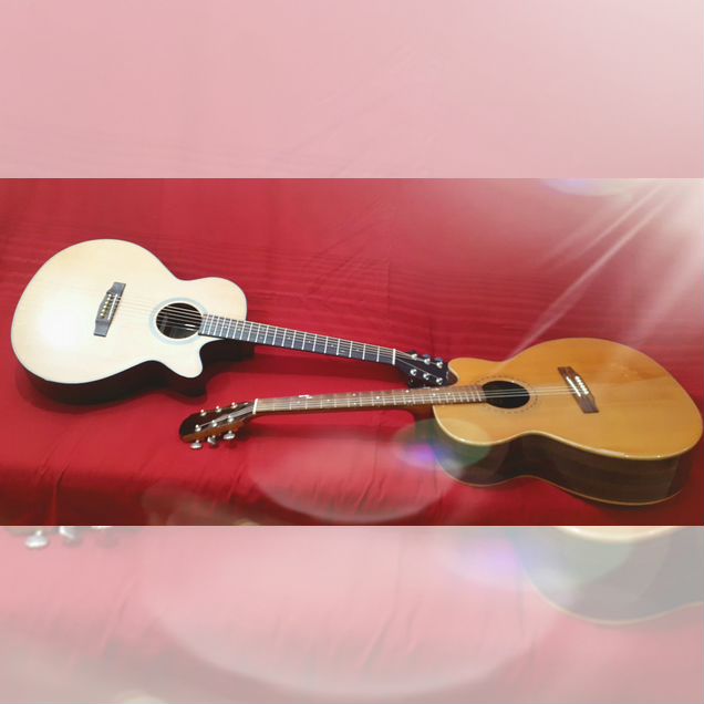 Гитары акустические Cremona 973и Dowina Rustica