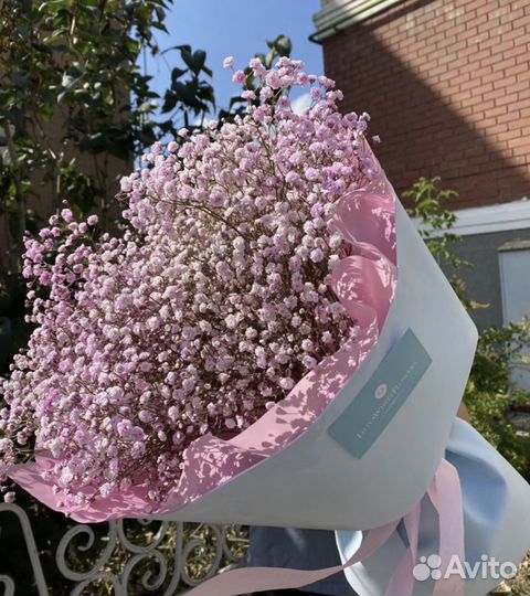 Гипсофилы с доставкой. Свежие букеты цветов