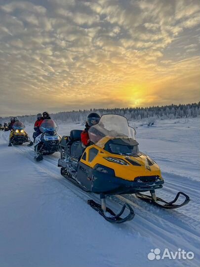 Прогулка на снегоходах в Карелии