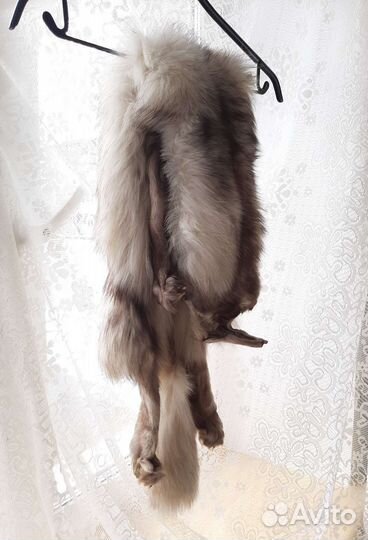 Шкура песца СССР