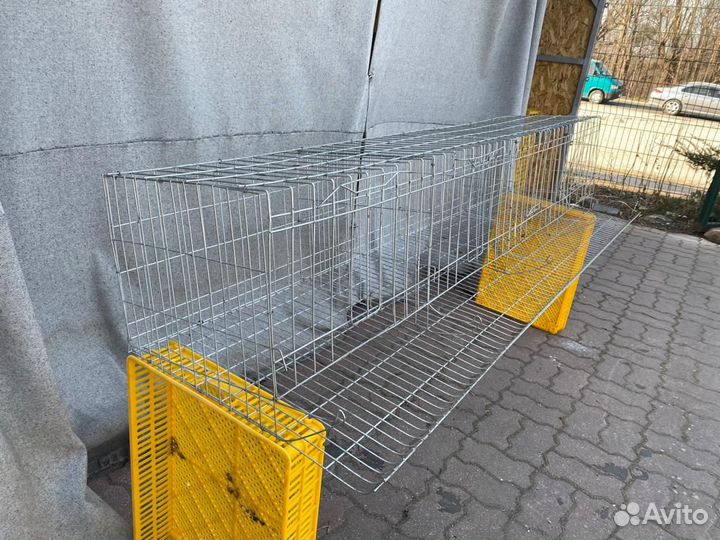 Клетки для кур несушек