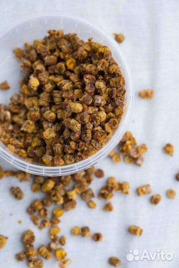 Перга пчелиная