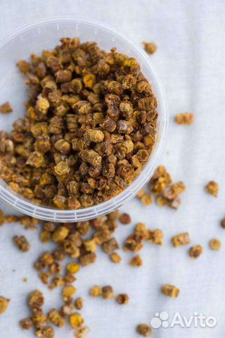 Перга пчелиная