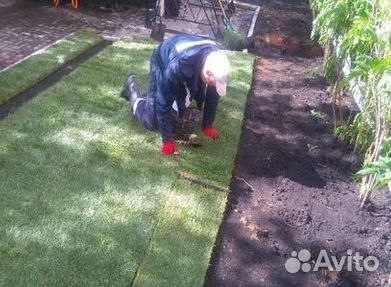 Гидропосев