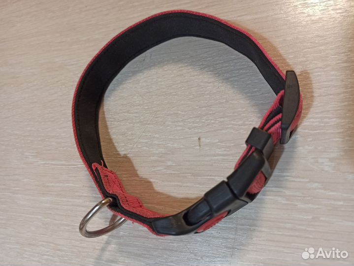 Ошейник для собак