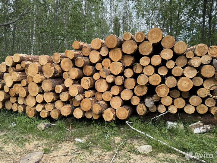 Лес кругляк пиловочник