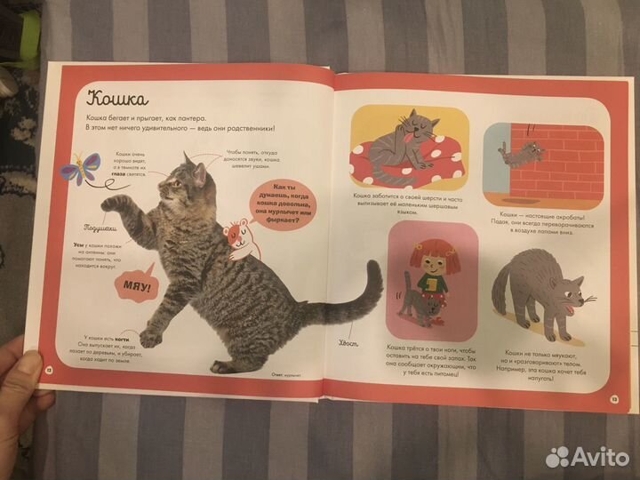 Главная книга малыша о животных Clever