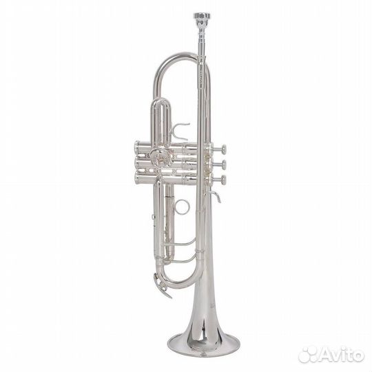 Труба Roy Benson TR-403S Bb