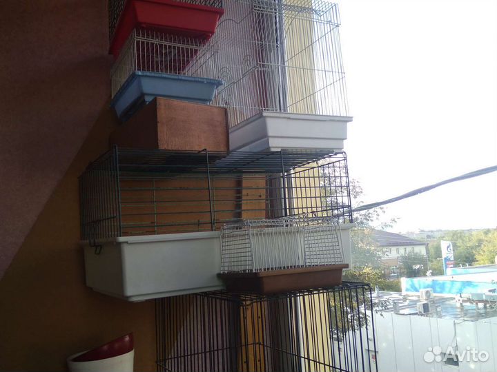 Клетки, домики, поилки и т.д