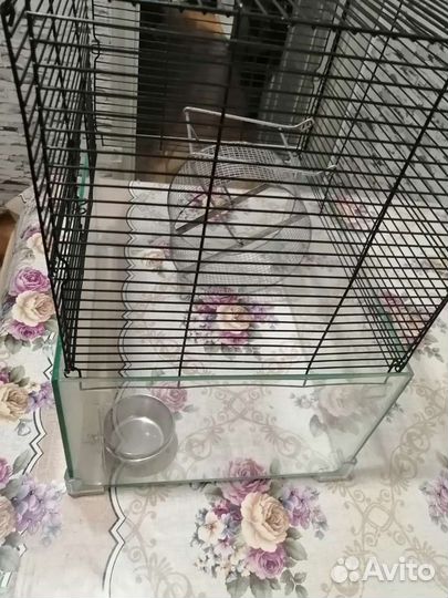 Клетка для грызунов бу