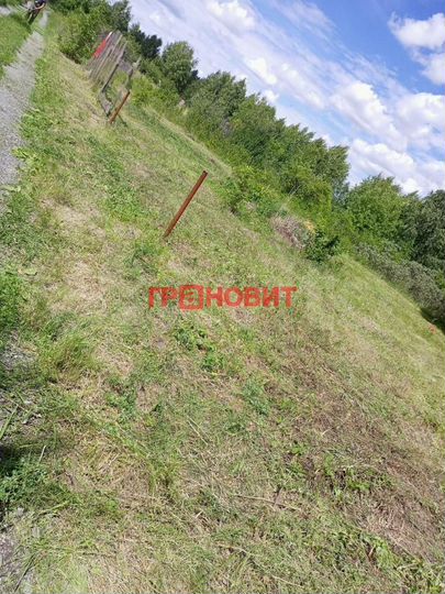 Участок 12 сот. (СНТ, ДНП)