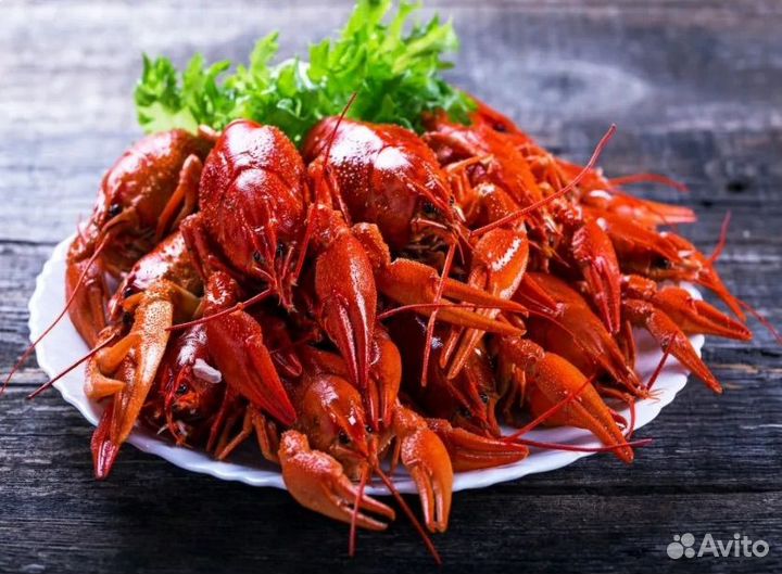 Живые и вареные раки