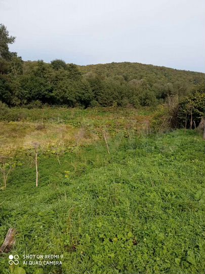 Участок 40 сот. (ИЖС)