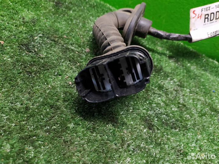 Проводка двери задней правой Ford Focus 3 (CB8) 2