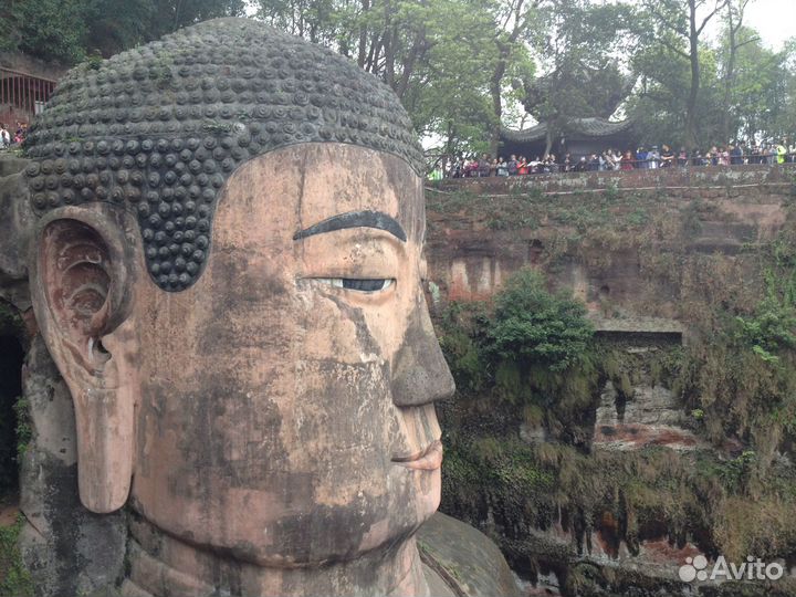 Репетитор по китайскому языку онлайн