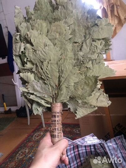 Веники Дубовые 