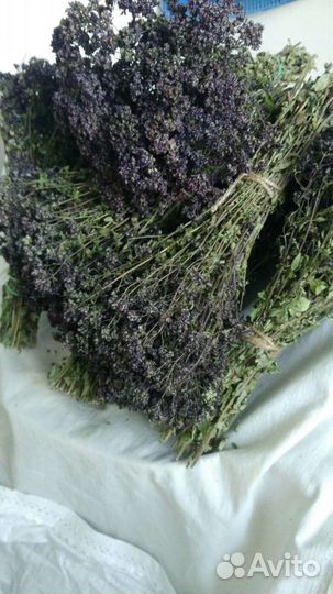 Душица сушеная