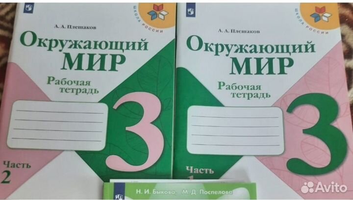 Комплект рабочих тетрадей по окружающему миру