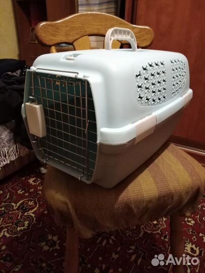 Товары для кошек