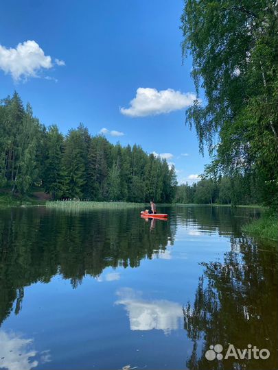 Аренда/прокат sup board по реке оредеж