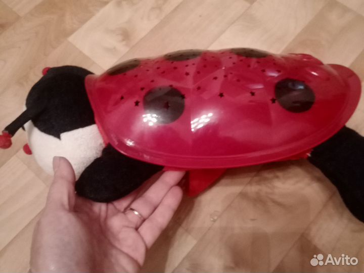 Светящаяся черепаха