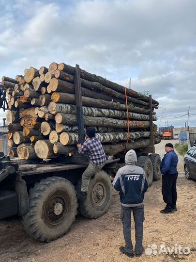 Дрова березовые колотые