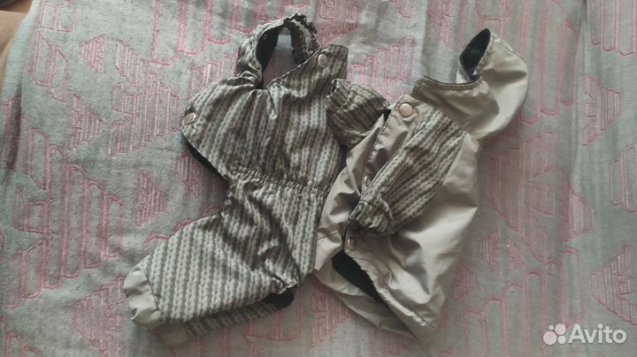 Одежда для маленьких собак