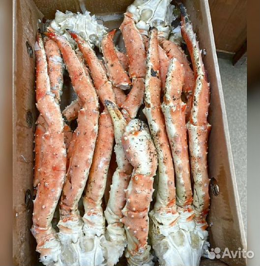 Конечности краба стригуна
