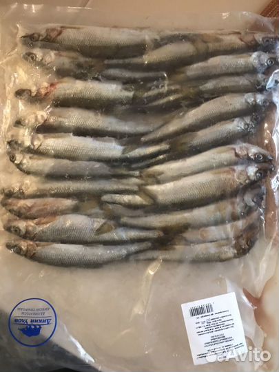 Продаю икру, рыбу