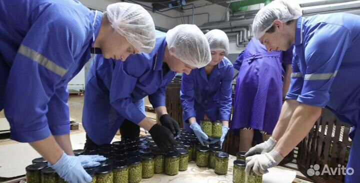 Фасовщик Baxтой в Краснодарском крае