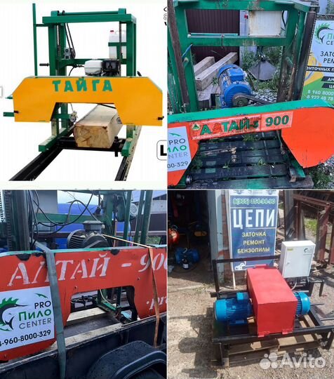 Заточной станок для ленточных пил. Алтай, Тайга