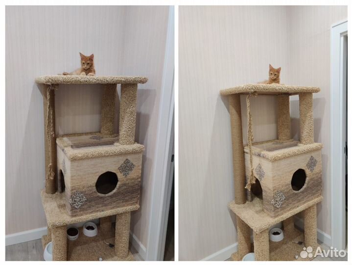 Домик когтеточка для крупных кошек