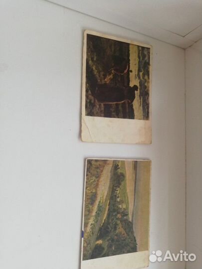 Открытки чистые 50х-60х годов