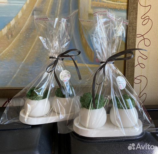 Кашпо со стабилизированным мхом