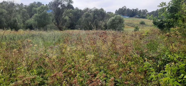 Участок 10 сот. (ИЖС)