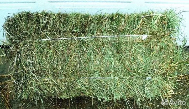 Сено в тюках