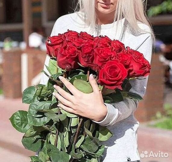 Высокие Розы Гиганты Доставка Круглосуточно